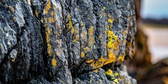 black-rock-texture-close-up-view
